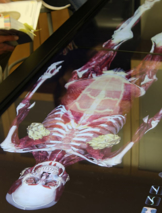 Anatomage Table