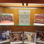 Golden Dreams Display