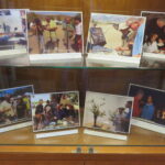 Golden Dreams Display