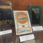 Golden Dreams Display