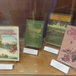 Golden Dreams Display
