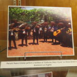 Golden Dreams Display