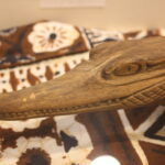 Alligator Close Up
