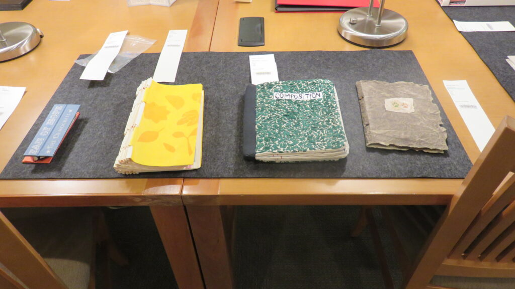Four artists' books displayed on a wooden table with their call numbers.