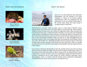 Inside of a brochure of Kevin Lee's exhibit in the Leatherby Libraries