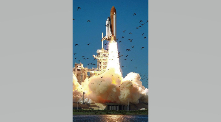 Photograph of a space shuttle taking off with a cloud of smoke below it and a flock of birds in flight in the foreground