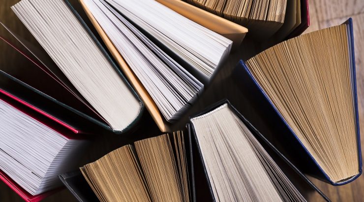 Librarian Interviews: Amy Telarico