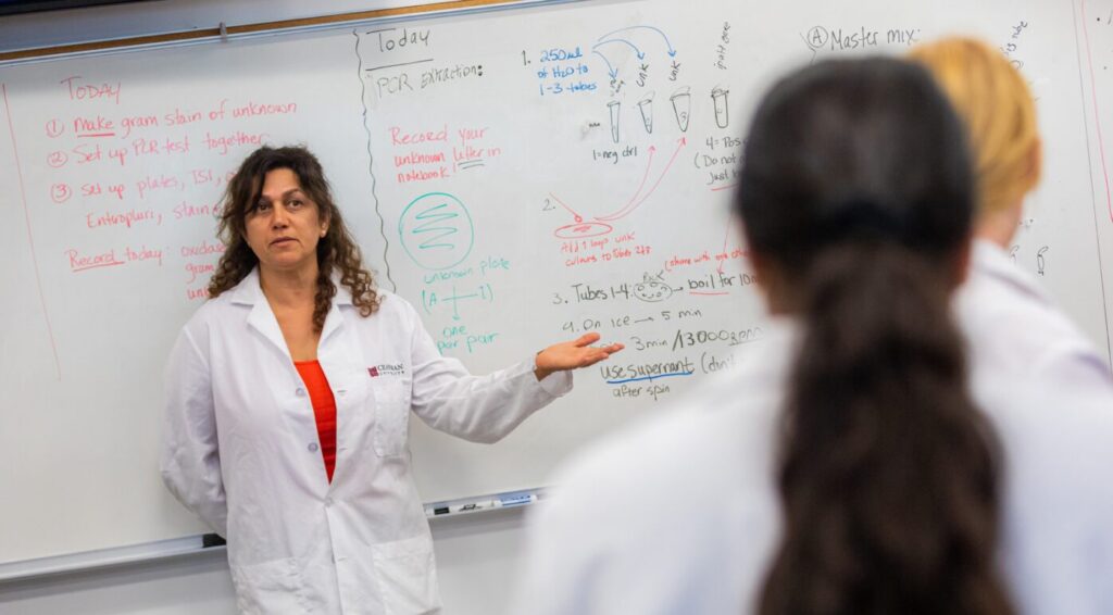 Spring 2024 Application Open for Inaugural Faculty Research Award: SOARS