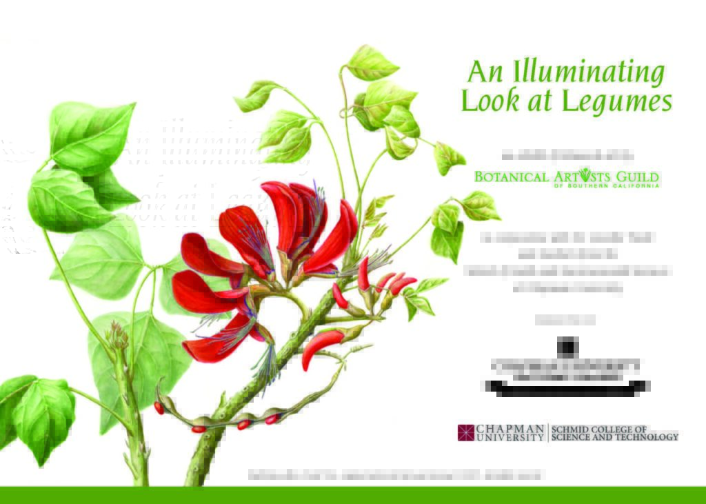 "An Illuminating Look at Legumes" flyer