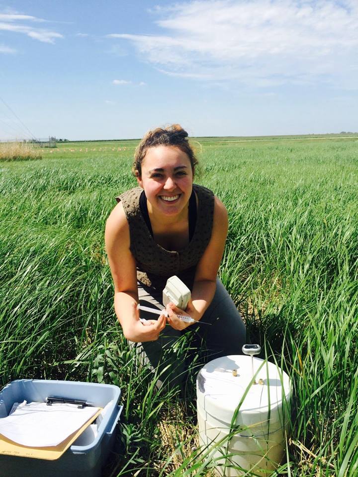 Danielle Platt in the wetlands