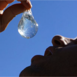 Edible water bottles