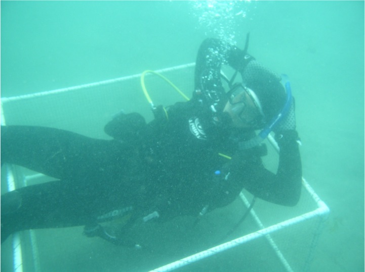 John Berriman '11 scuba diving