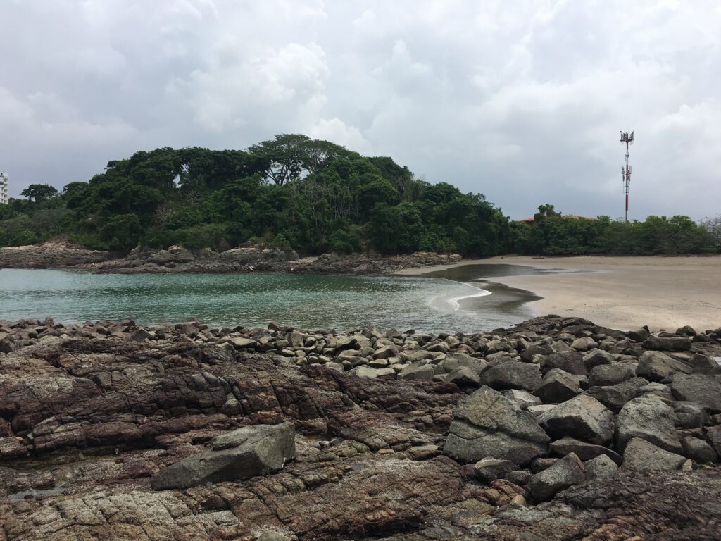 The beach next to our study site