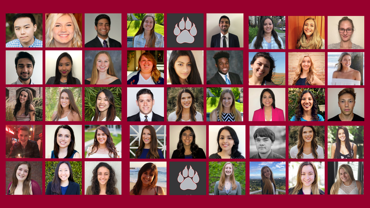 2017-18 Schmid Student Leadership Council member head shots
