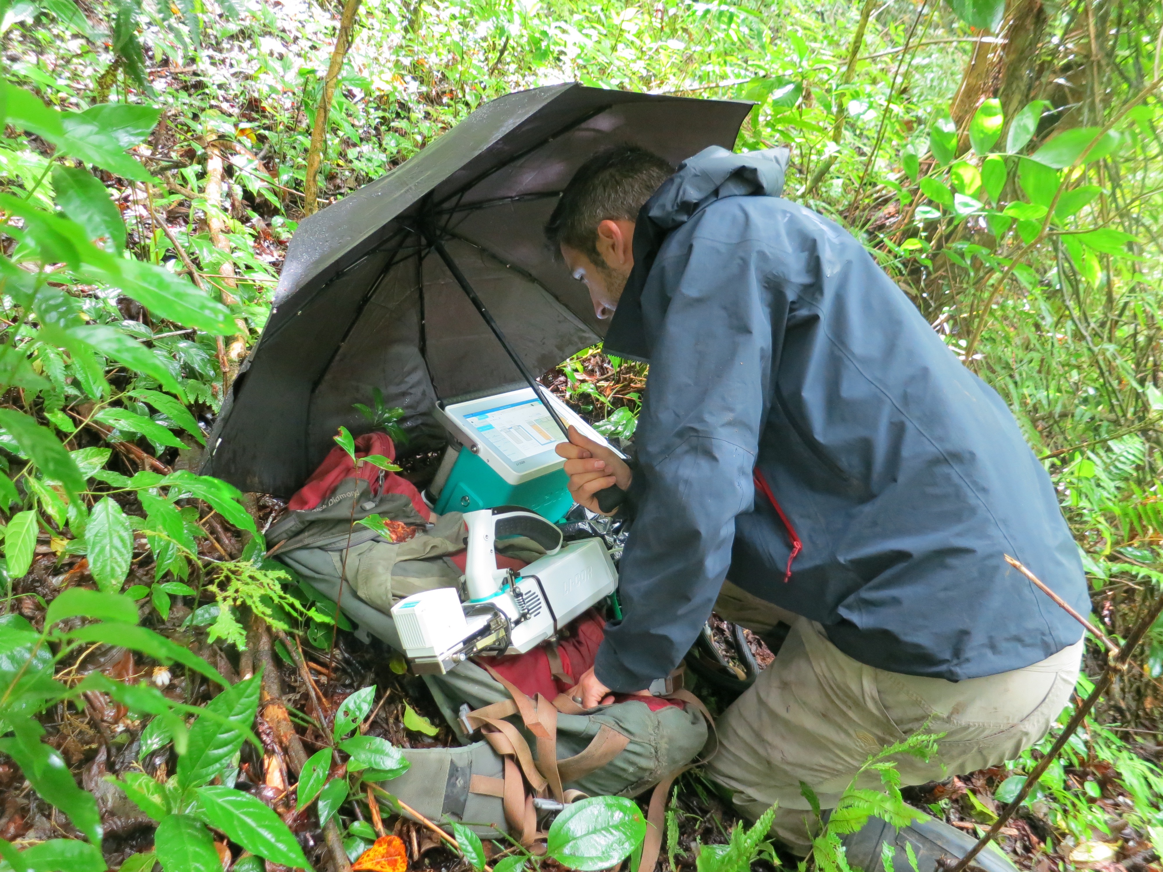 Dr. Goldsmith doing research in Costa Rica