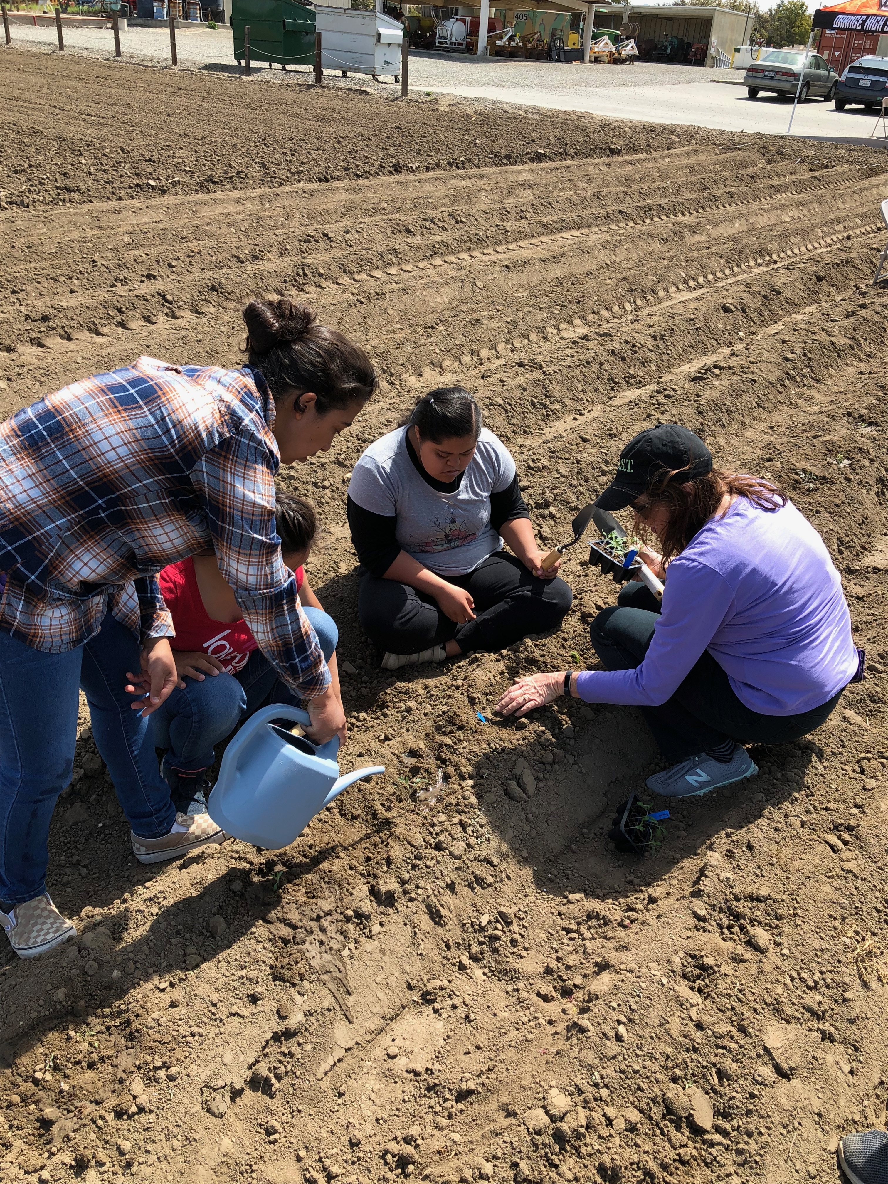 Students planting seedlings