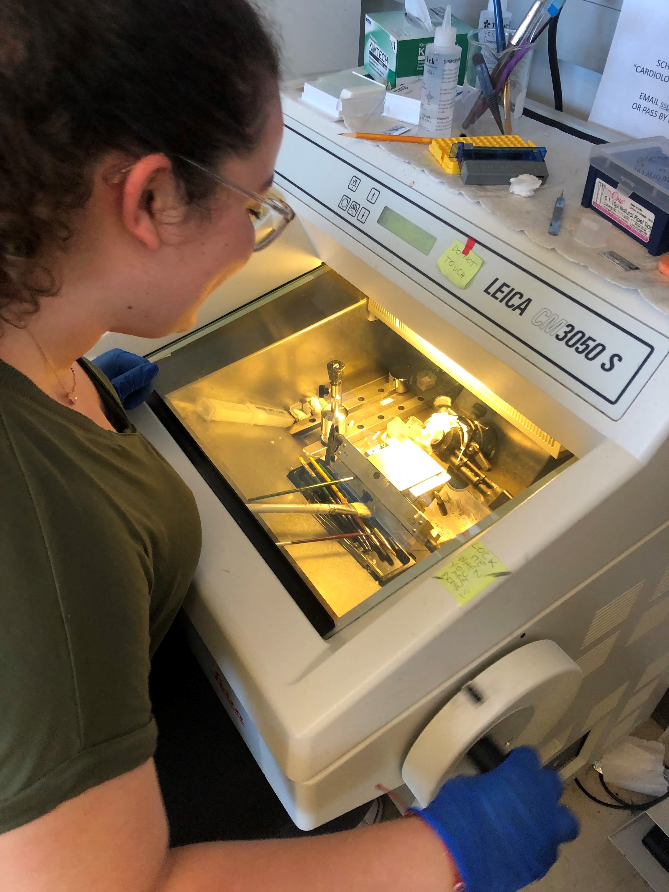 Rosita Saul in lab 