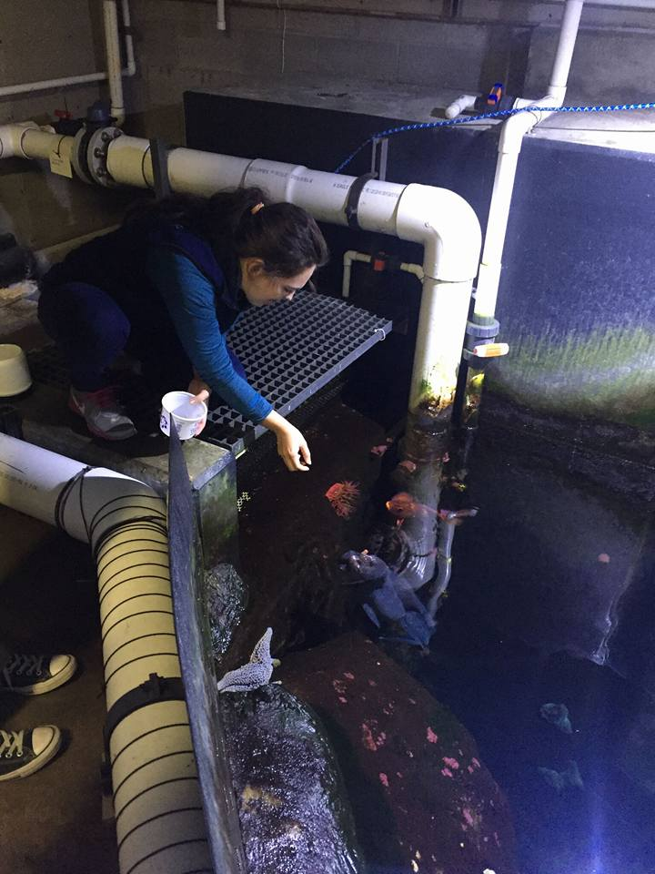 macy dexter at aquarium