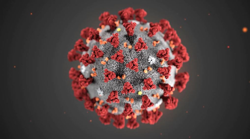 coronavirus