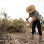 Volunteer for Project Grow