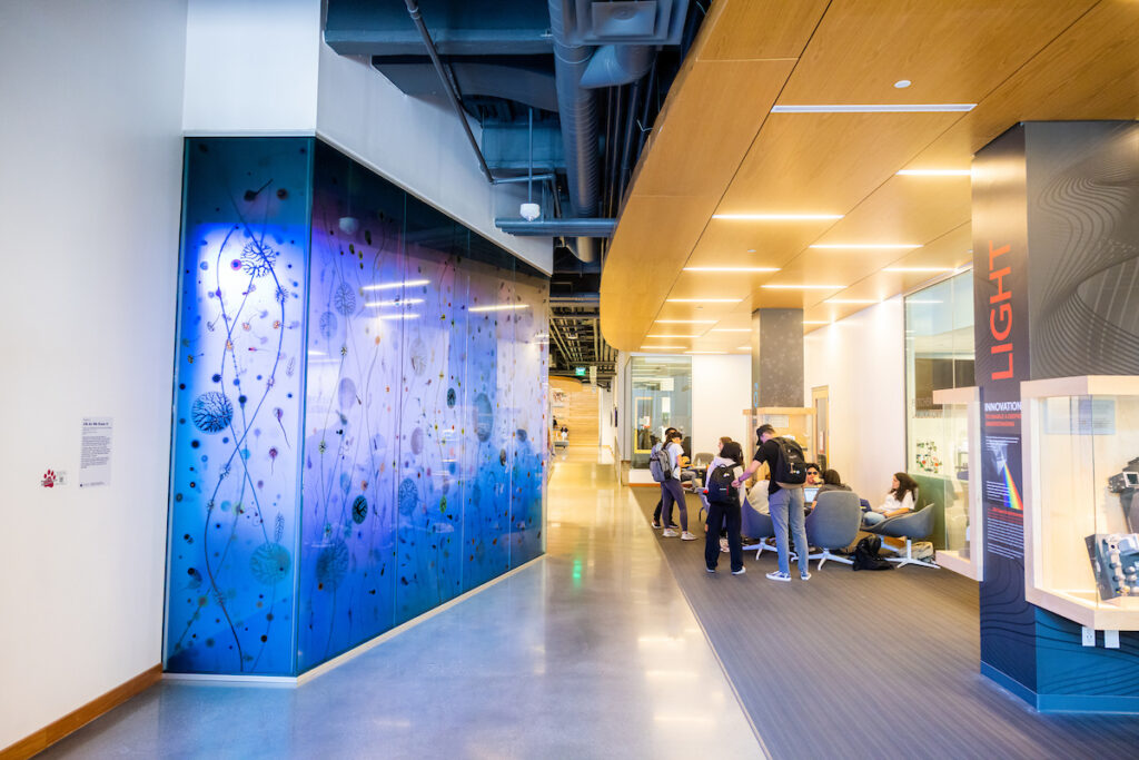 Keck Center for Science and Engineering - Women of Chapman Hall