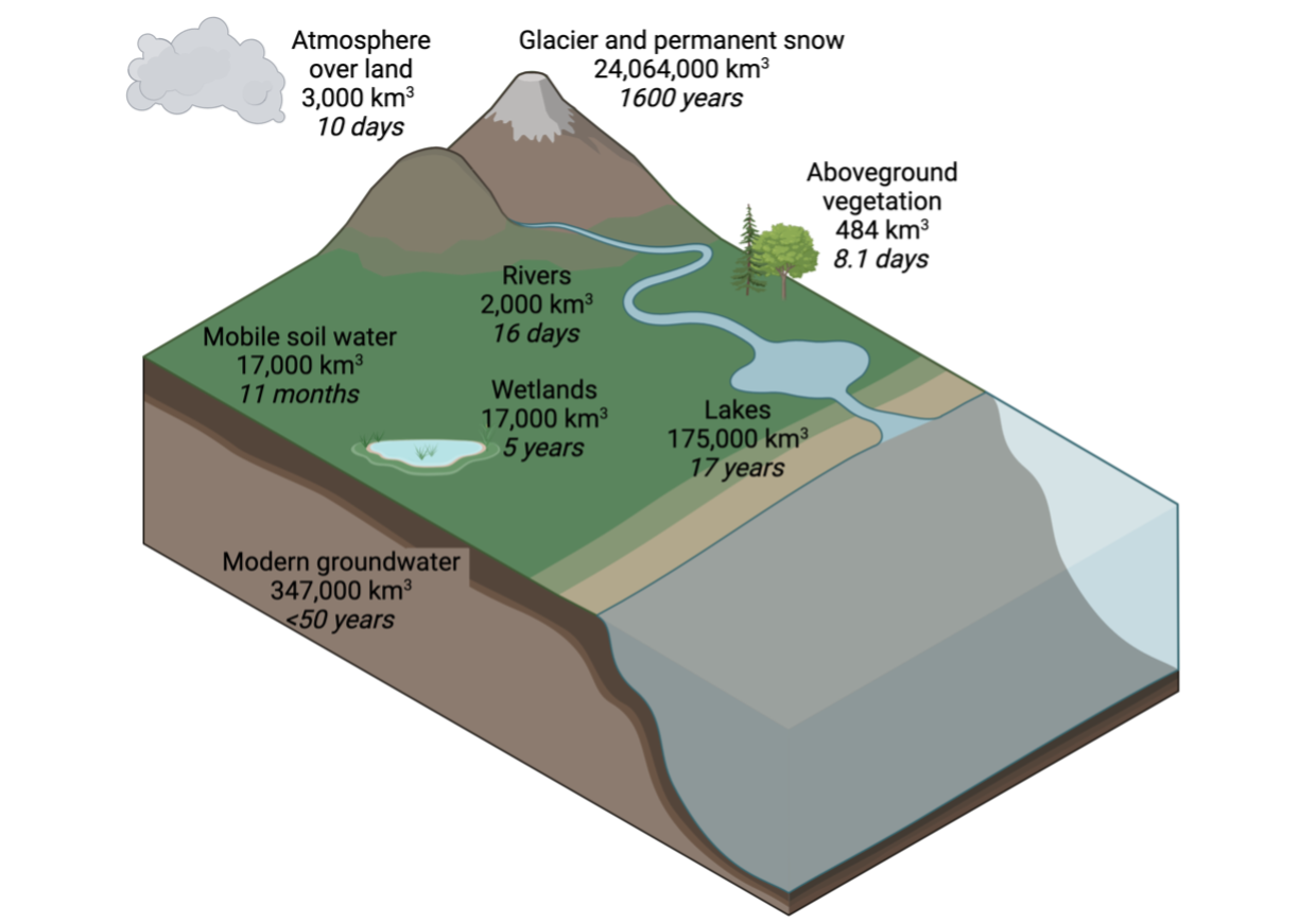 A diagram of the water cycle