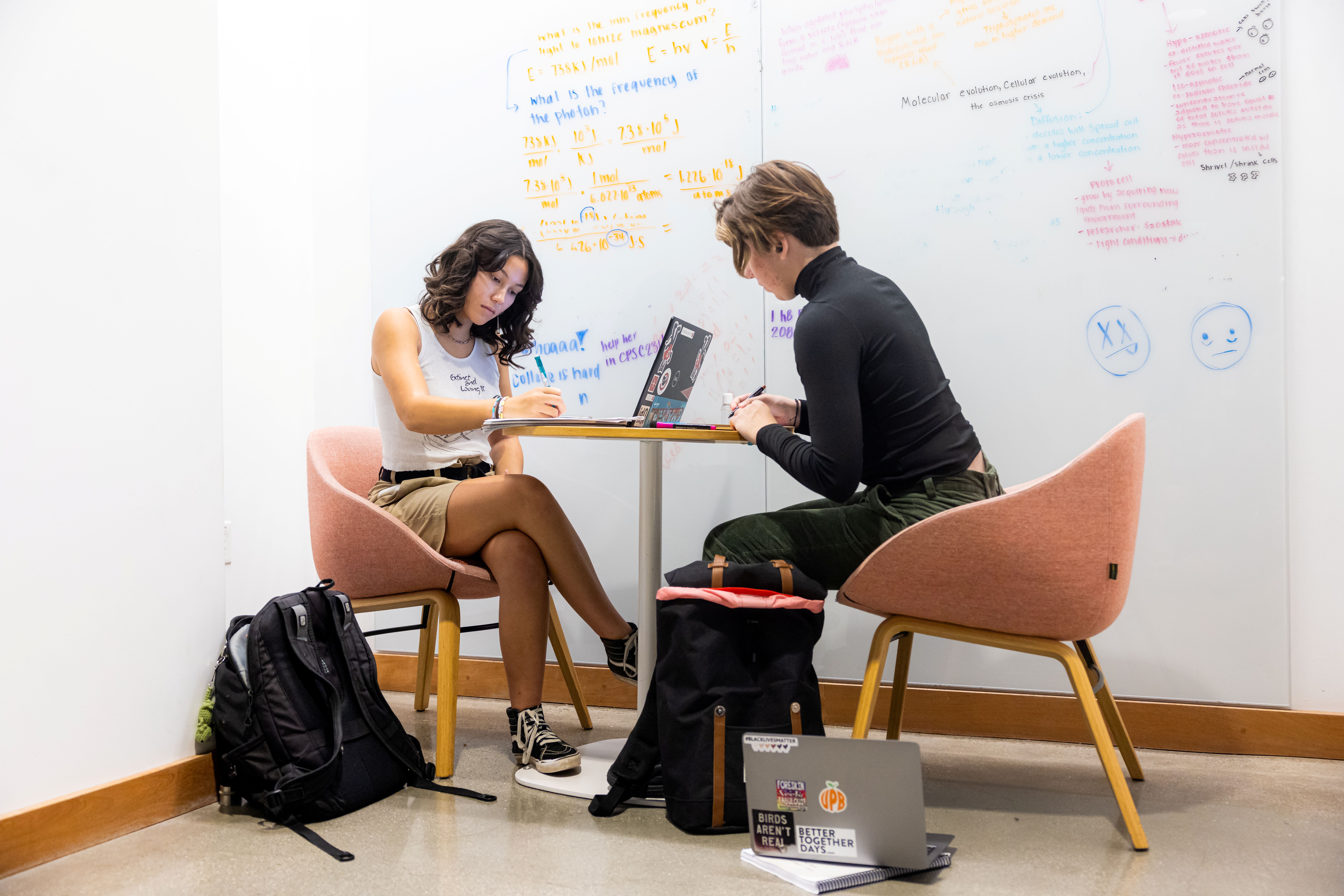 Students studying