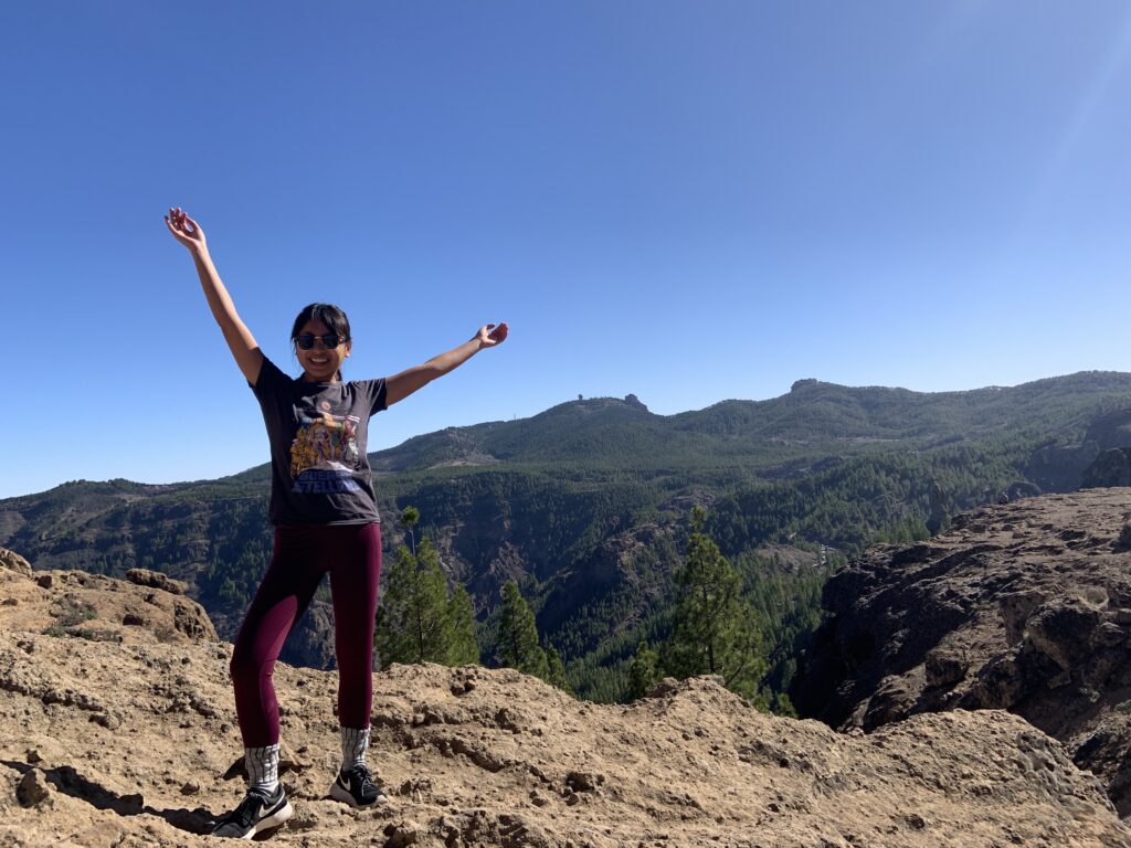 Portea at Roque Nublo