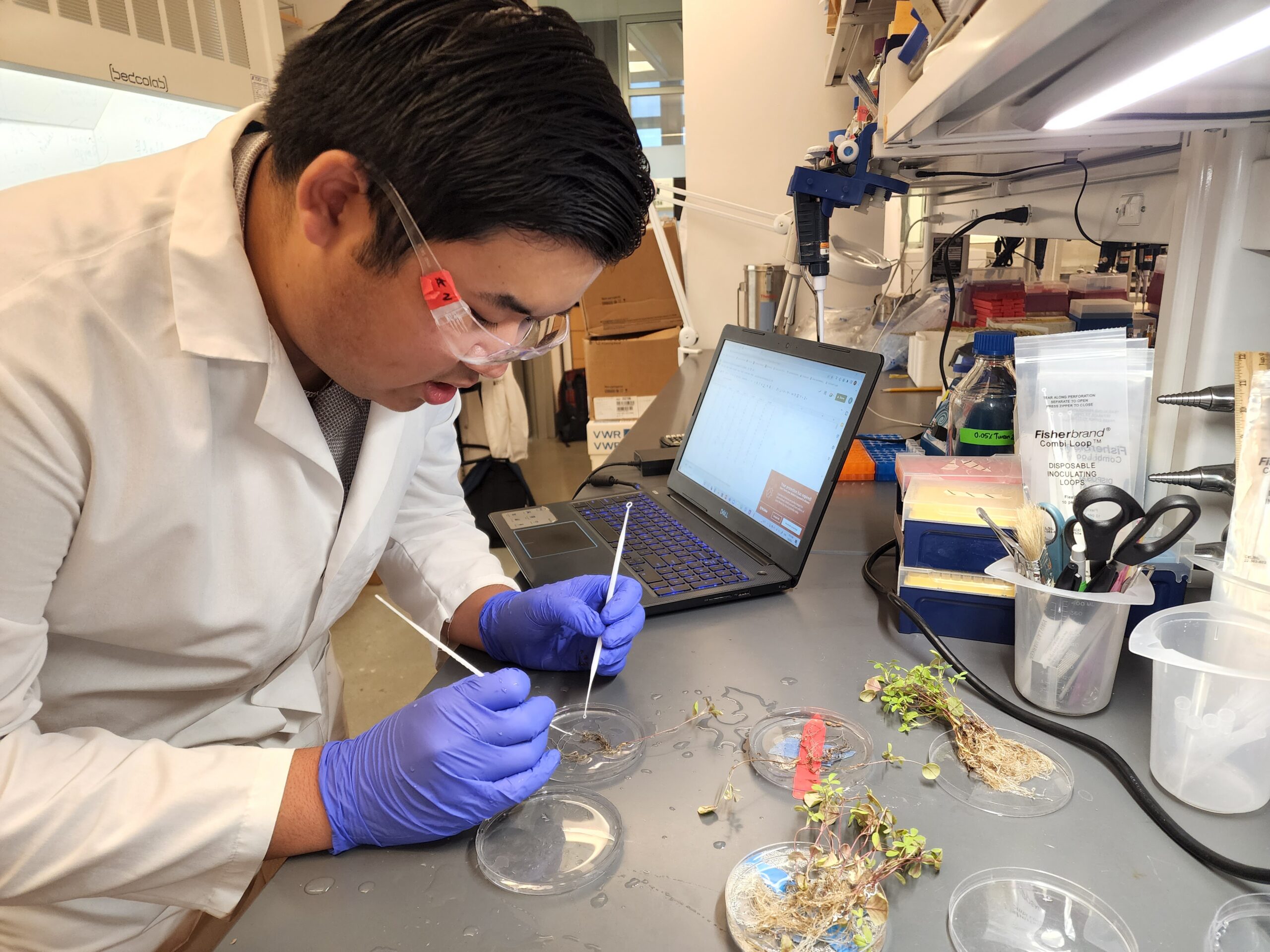 Student Researcher Spotlight: Kevin Nguyen '22