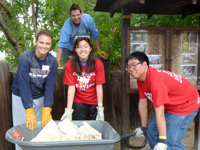 Group of people helping with manual labor.