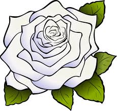 Artwork of white rose.