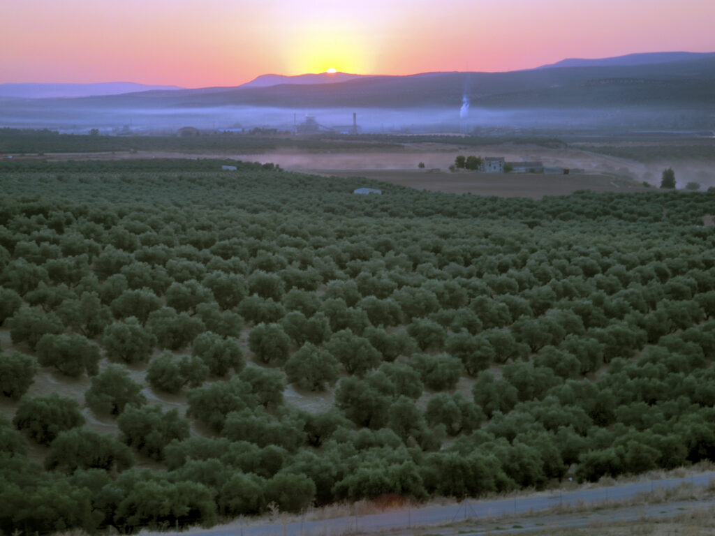 Scenic landscape.