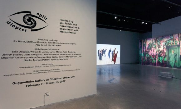 Split Diopter: At the Seam of Art and Cinema - The Voice of Wilkinson