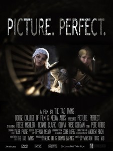 Picture Perfect Thesis Poster