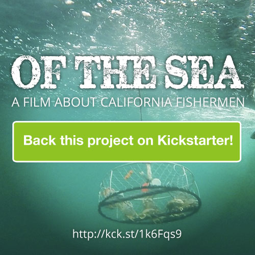 Back OF THE SEA on Kickstarter photo ©2014 TrimTab Media