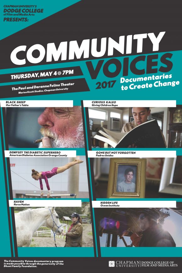 Community Voices 2017