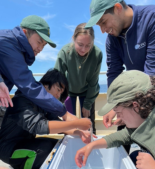 Teachers looking at hagfish slime on a boat in Maine