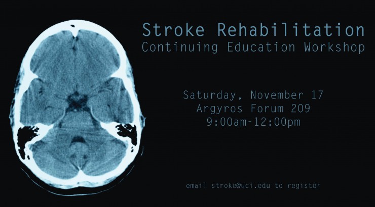 stroke workshop