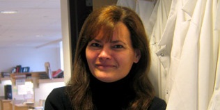 Elizabeth Gould, PhD