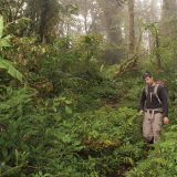 A Matter of Degrees: Tropical Forests Are Within Critical Temperature Thresholds