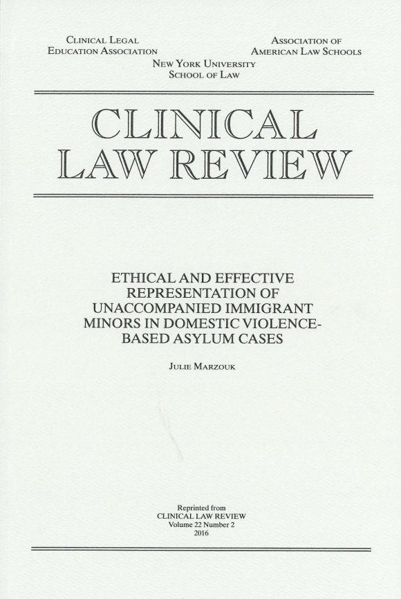 Clinical Law Review book Cover