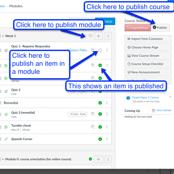 Remember to Publish Your Canvas Course Publish, publish, publish