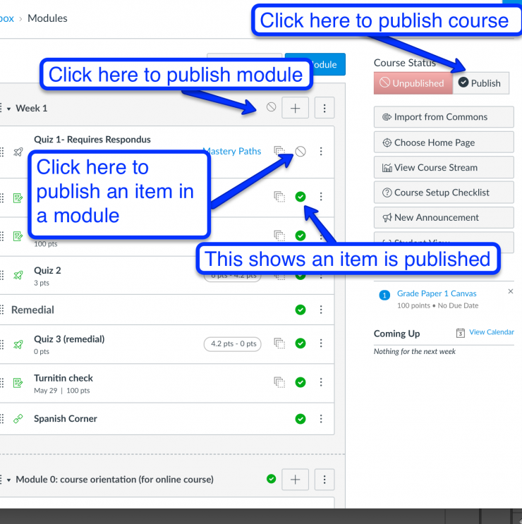 Visual description of where to click to publish assignments, modules, and the course