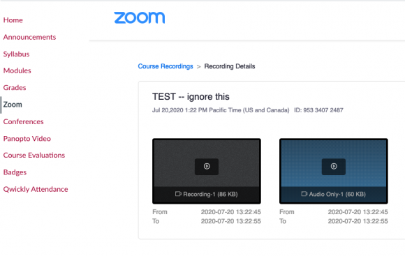 canvas videos zoom options