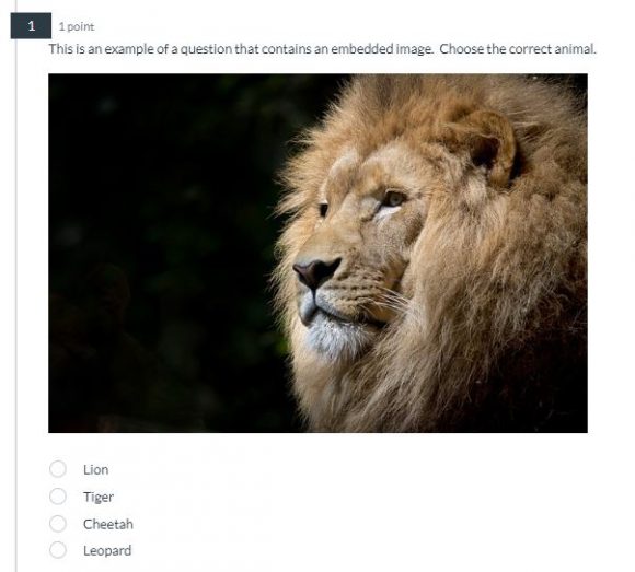 Example of a quiz question with an embedded image