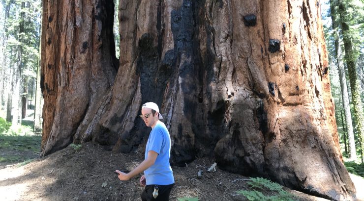 young man in front of large tree