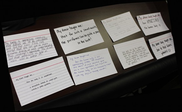 Index Cards explaining what a Donor taught students