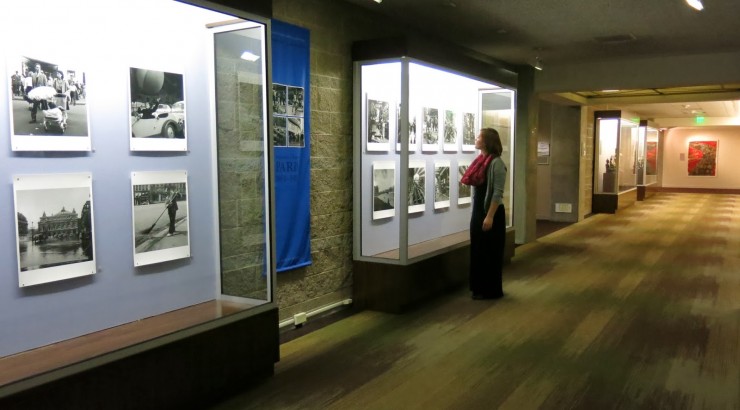 person looking at display case