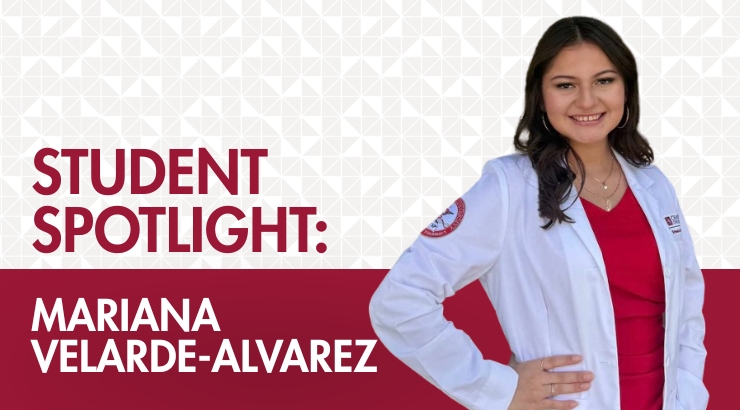 Mariana Velarde-Alvarez
