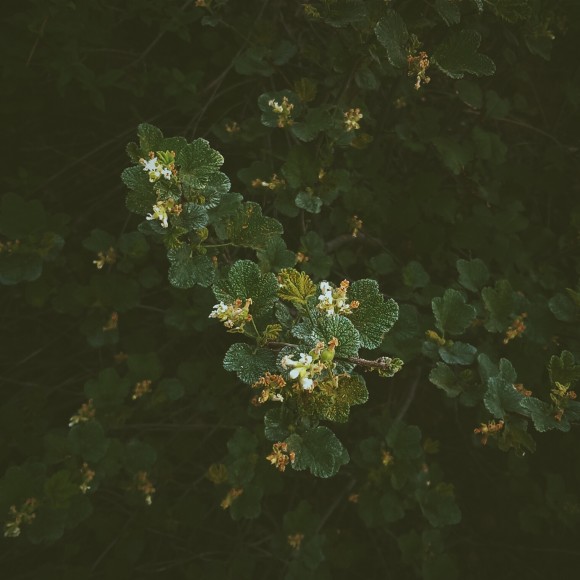 processed-with-vscocam-with-m3-preset